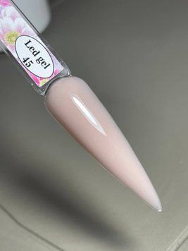 LED Gel #45 15ml LED-045 фото
